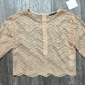 Zara Beige Lace Crop Top